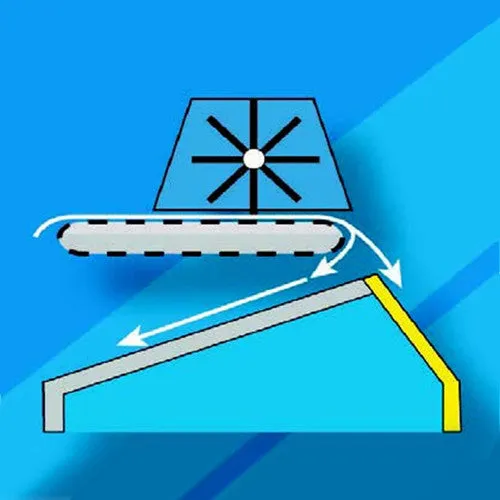 Automatic Rug Duster 19’