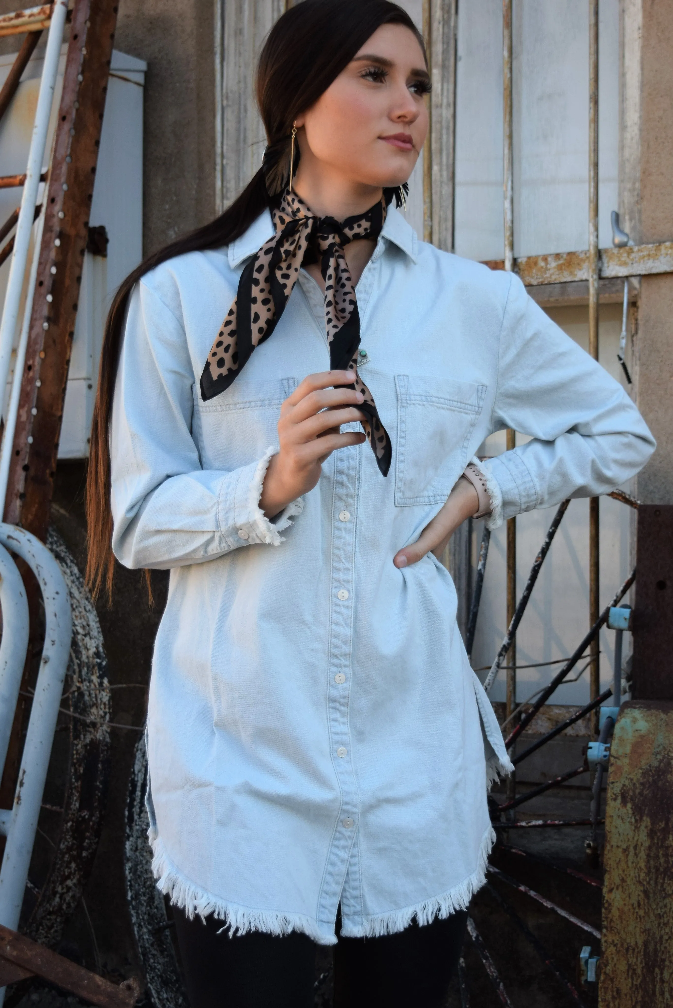Dolly's Denim Long-Sleeve Shirt Dress