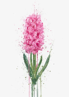 Flower Wall Art Print 'Hyacinth'