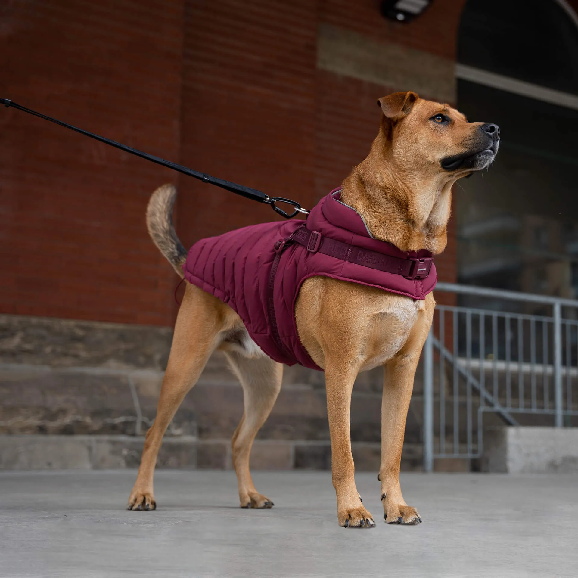Harness Puffer