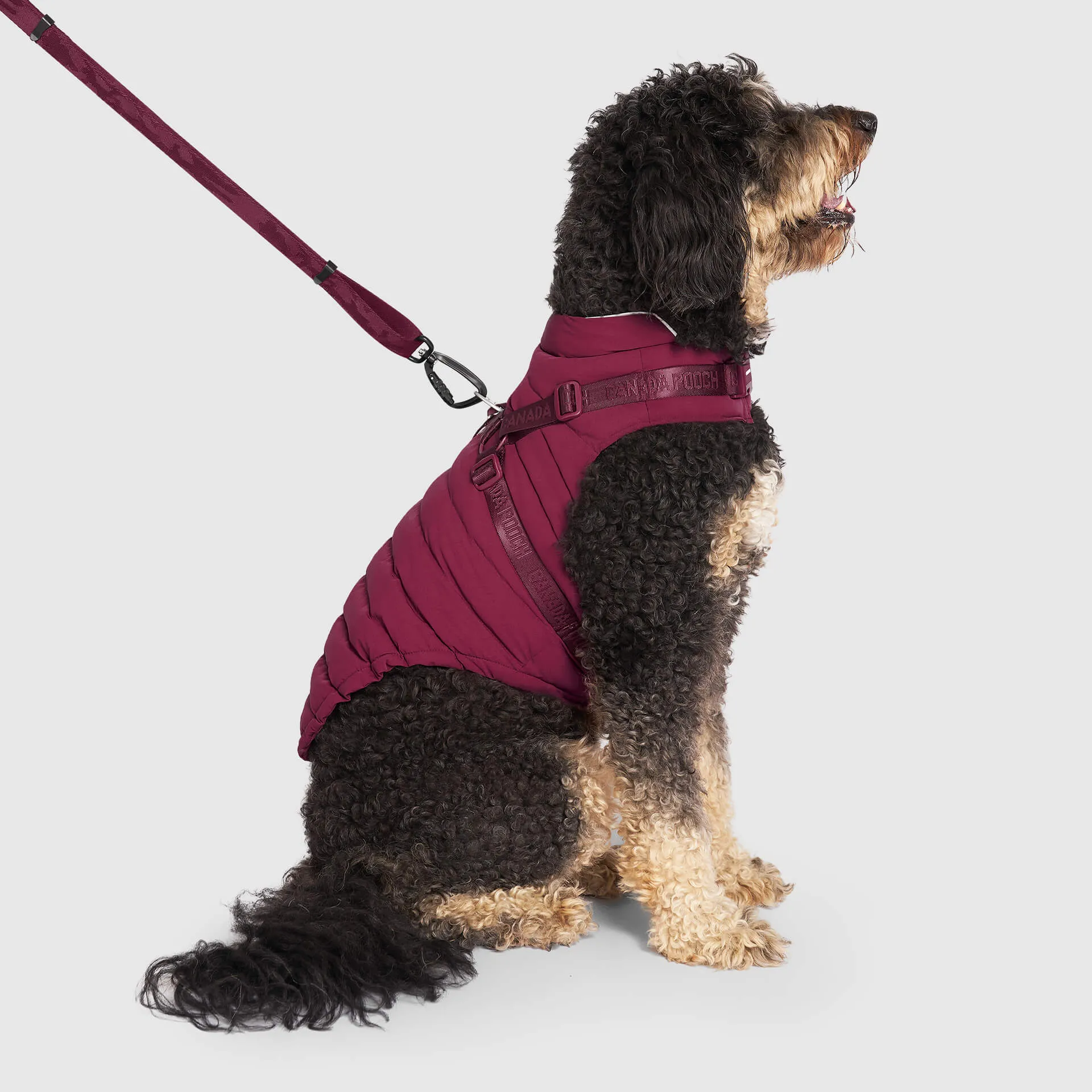 Harness Puffer