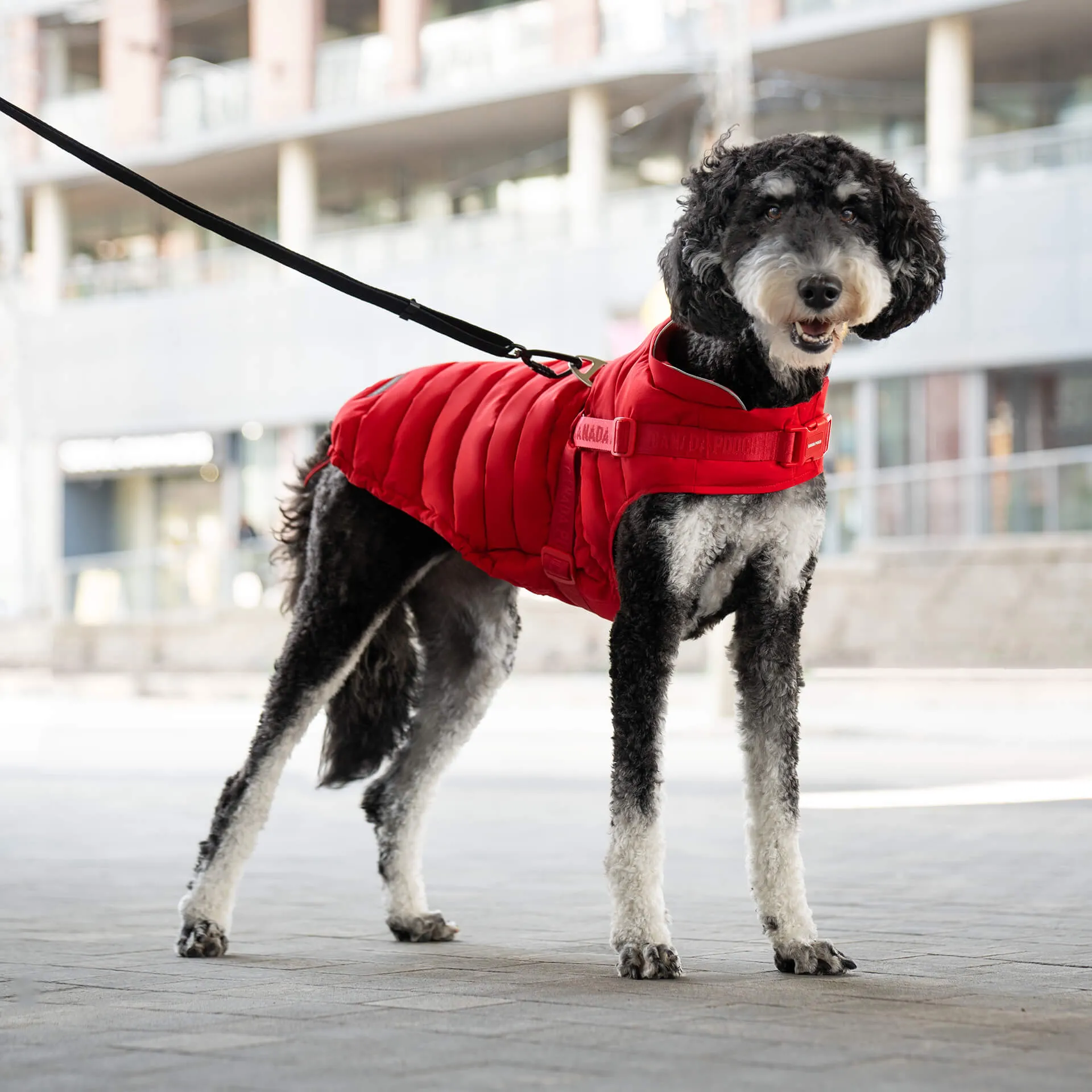 Harness Puffer