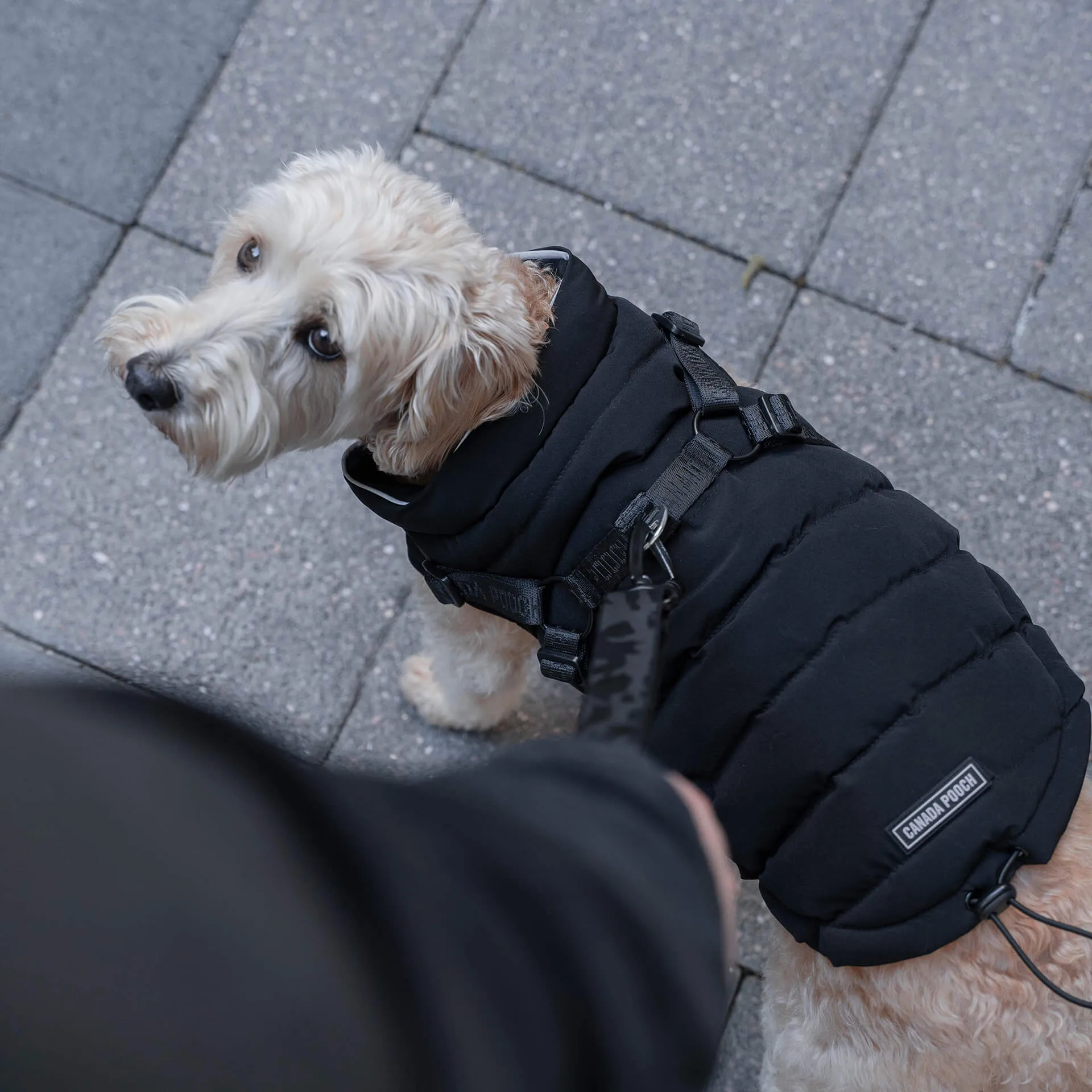 Harness Puffer