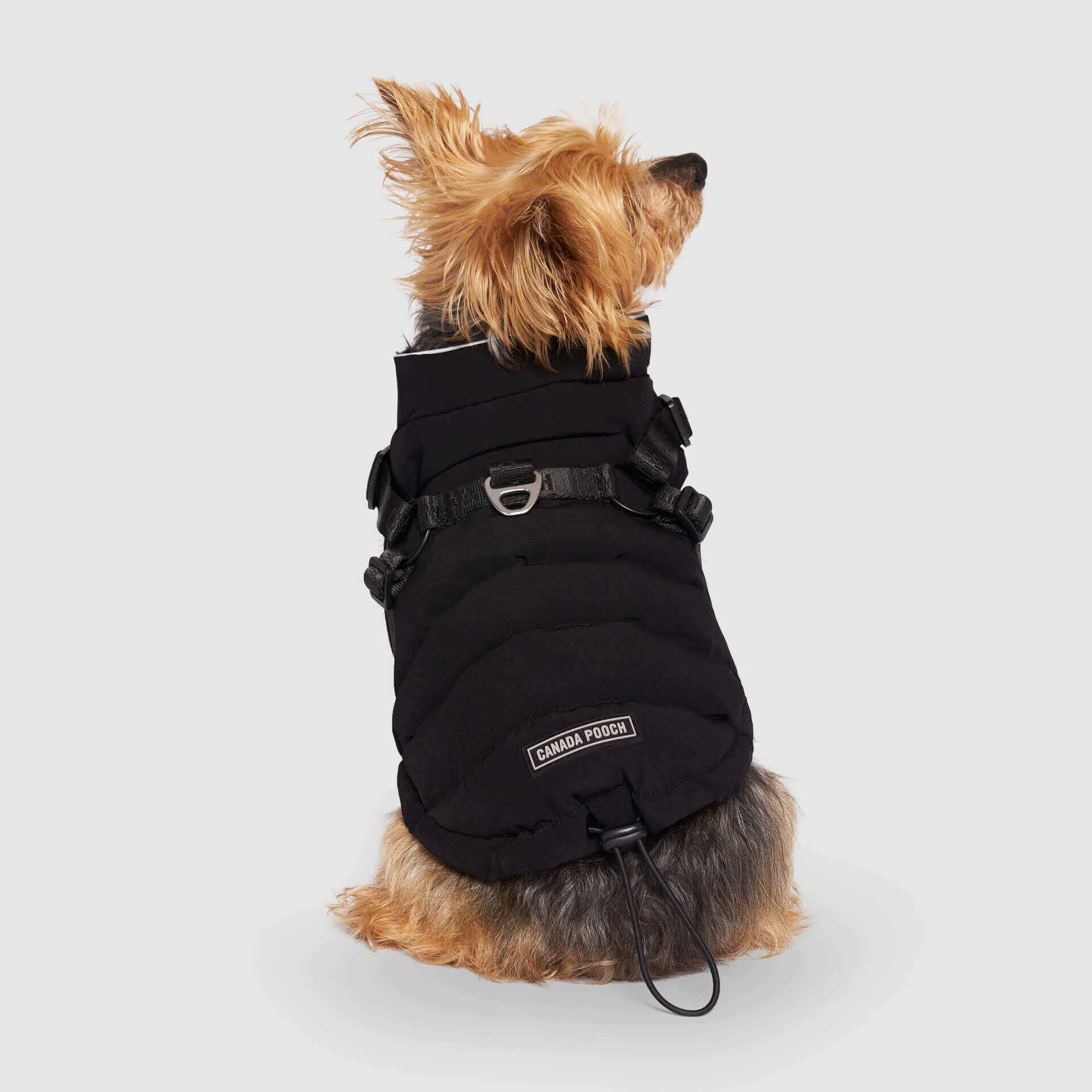 Harness Puffer