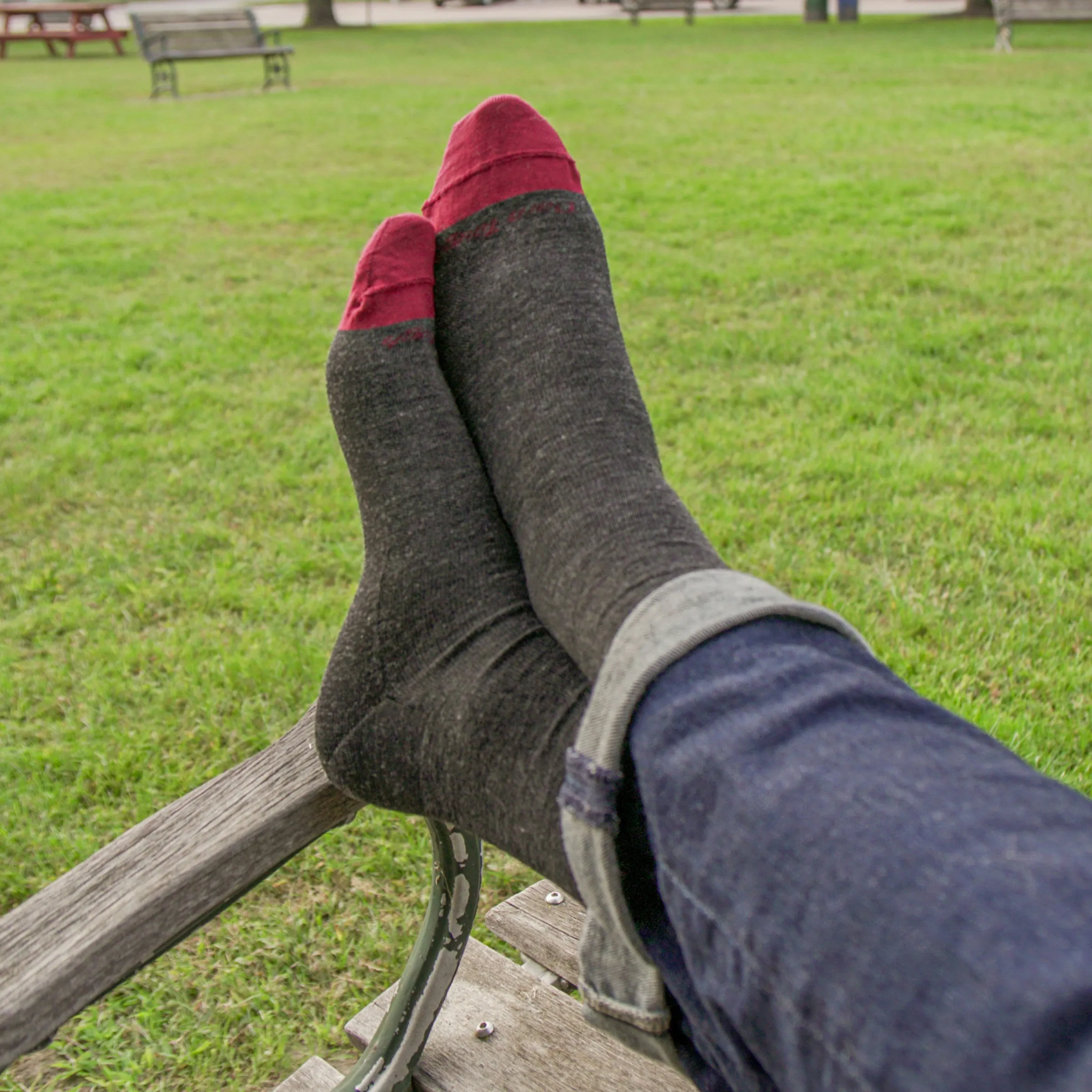 Men's Solid Crew  Lightweight Lifestyle Sock