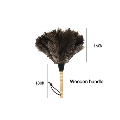 Ostrich Feather Duster
