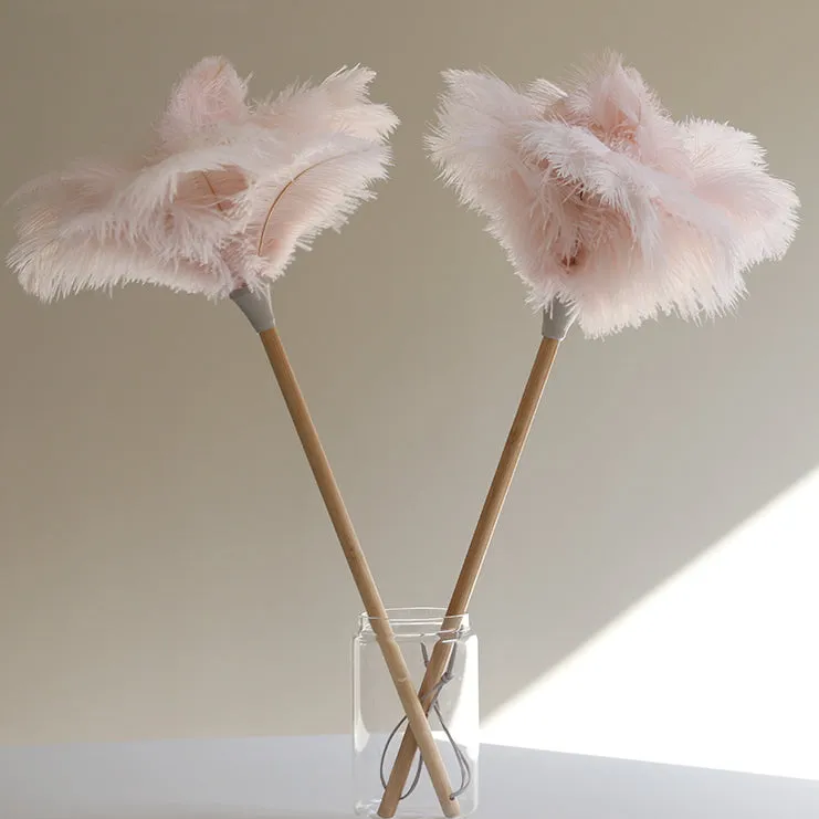 Ostrich Feather Duster