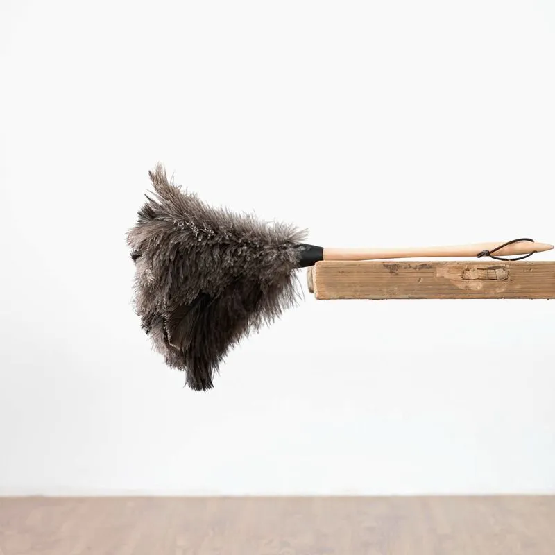 Ostrich Feather Duster