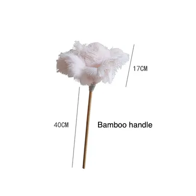 Ostrich Feather Duster