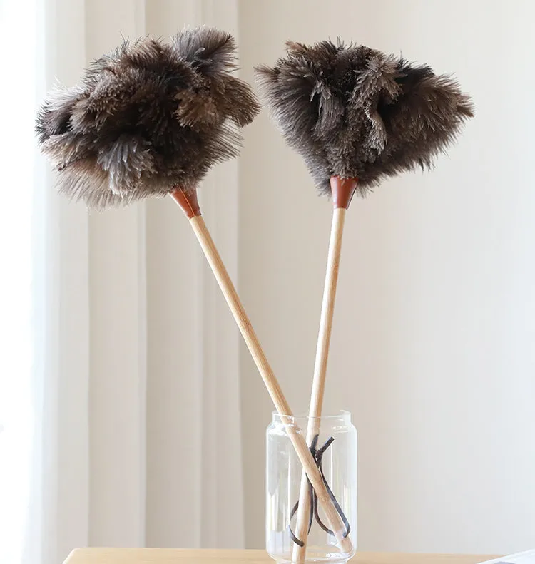 Ostrich Feather Duster