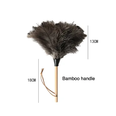 Ostrich Feather Duster
