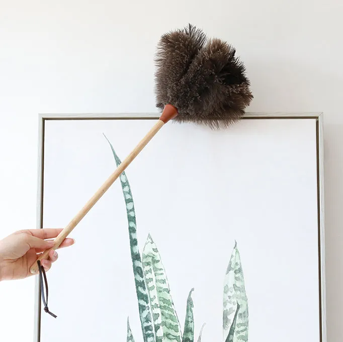 Ostrich Feather Duster