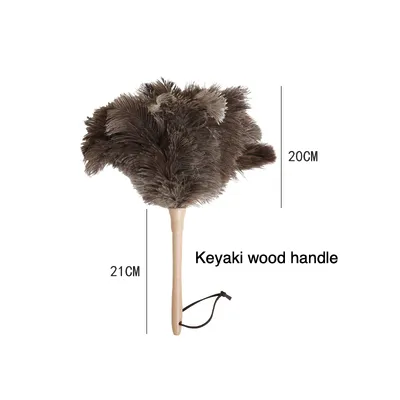 Ostrich Feather Duster