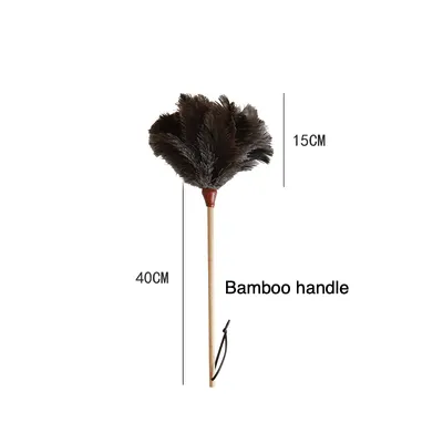 Ostrich Feather Duster