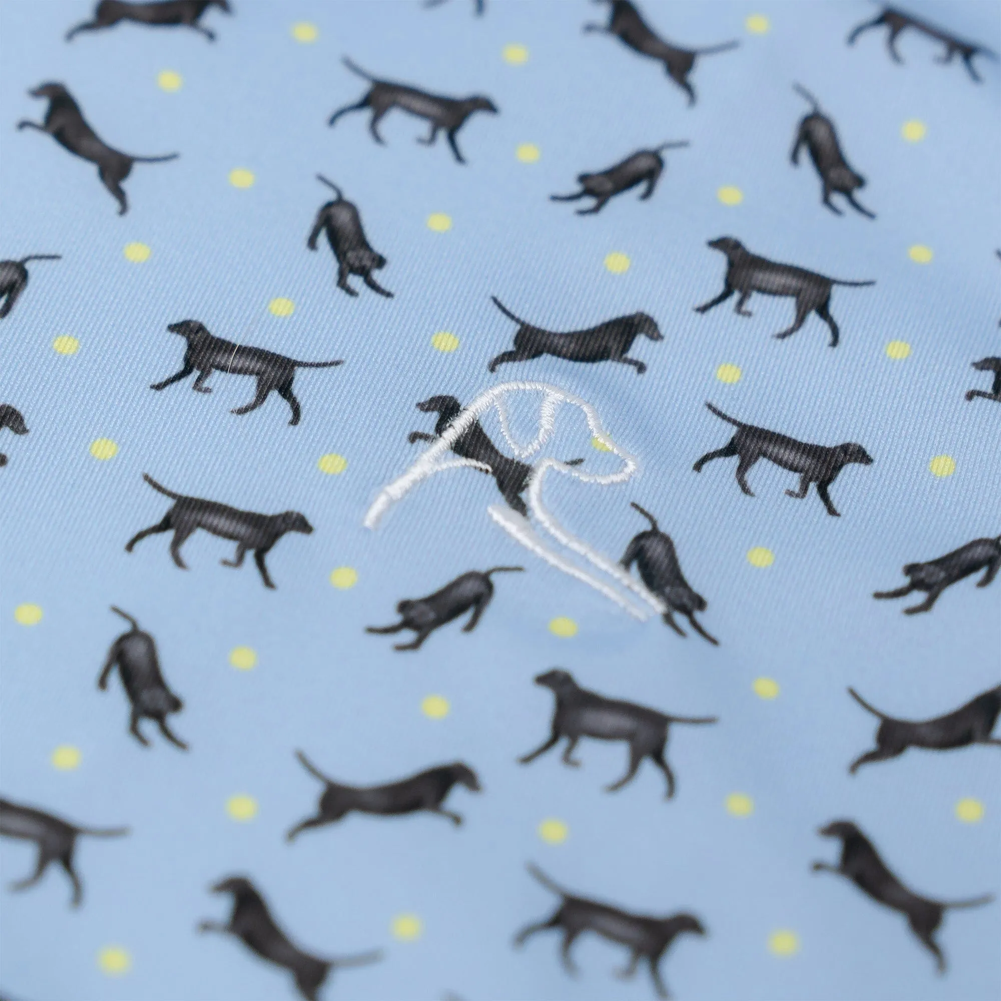 The Lil' Lab | Performance Polo | The Lab - Pale Blue